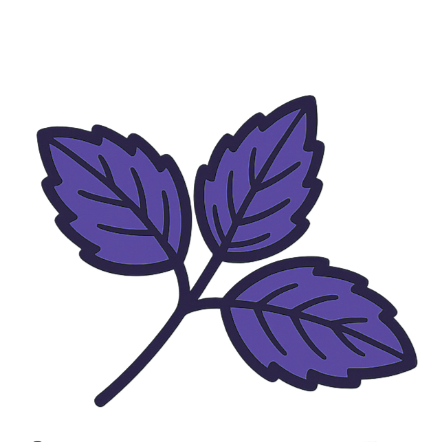 моя фоточка)